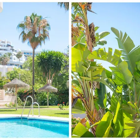 公寓 Apartamento Carihuela 托雷莫利诺斯